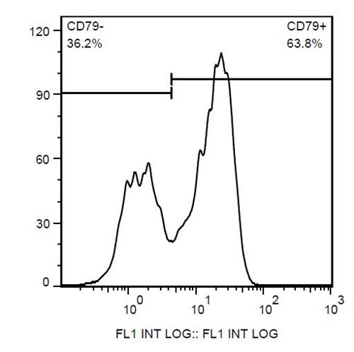 Anti-Ms CD79b FITC