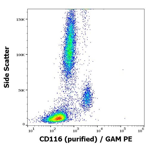 Anti-Hu CD116 Purified