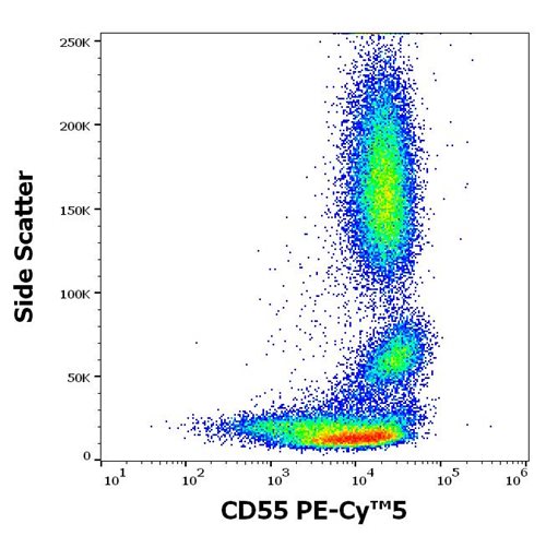Anti-Hu CD55 PE-Cy™5