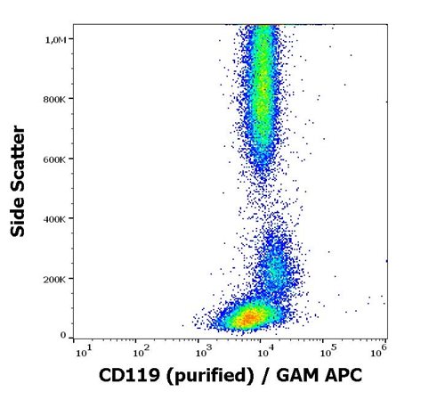 Anti-Hu CD119 Purified