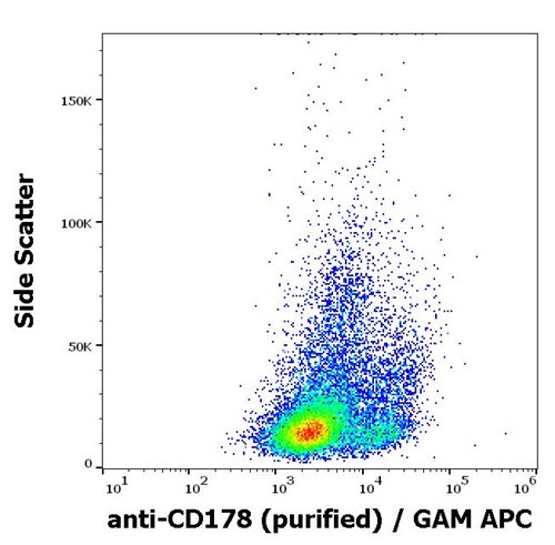 Anti-Hu CD178 Purified