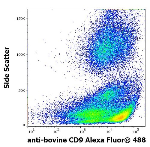 Anti-Bov CD9 Alexa Fluor<sup>®</sup> 488