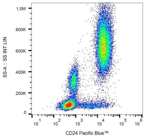 Anti-Hu CD24 Pacific Blue™