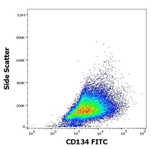 Anti-Hu CD134 FITC