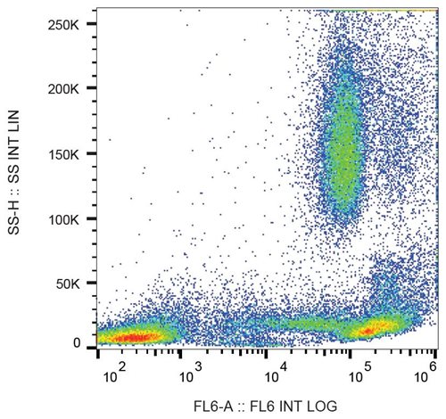 Anti-Hu CD44 Purified