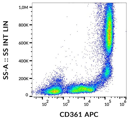 Anti-Hu CD361 APC