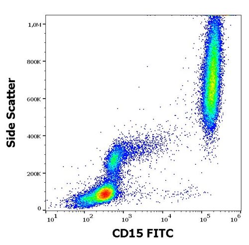 Anti-Hu CD15 FITC