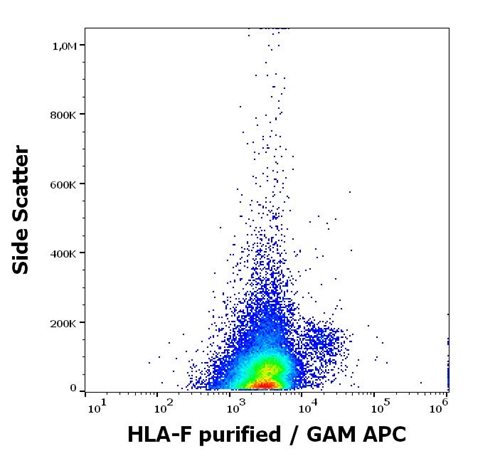 Anti-HLA-F Purified