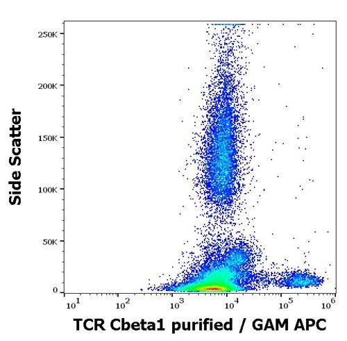 Anti-Hu TCR Cbeta1 Purified