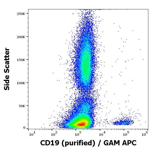 Anti-Hu CD19 Purified