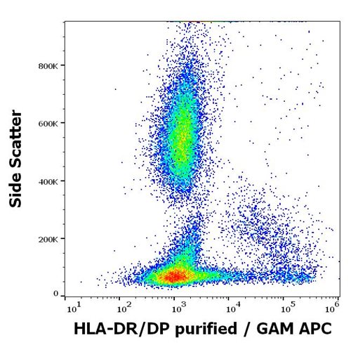 Anti-HLA-DR/DP Purified