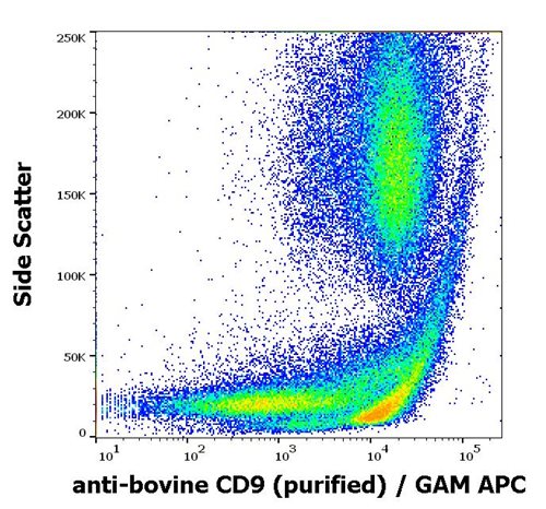 Anti-Bov CD9 Purified