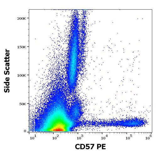 Anti-Hu CD57 PE