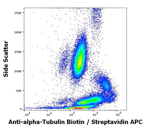 Anti-alpha-Tubulin Biotin