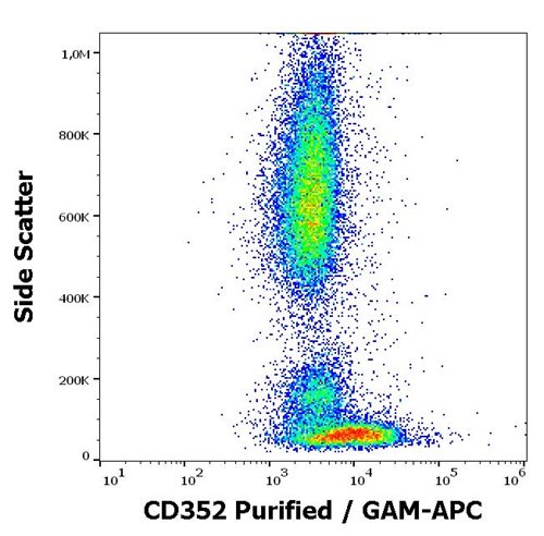 Anti-Hu CD352 Purified