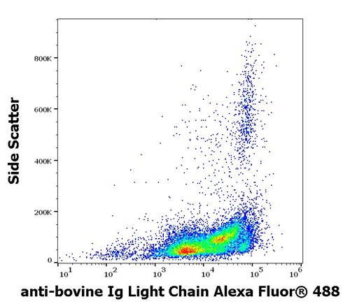 Anti-Bov Ig Light Chains Alexa Fluor<sup>®</sup> 488