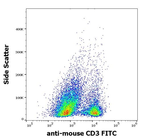 Anti-Ms CD3 FITC