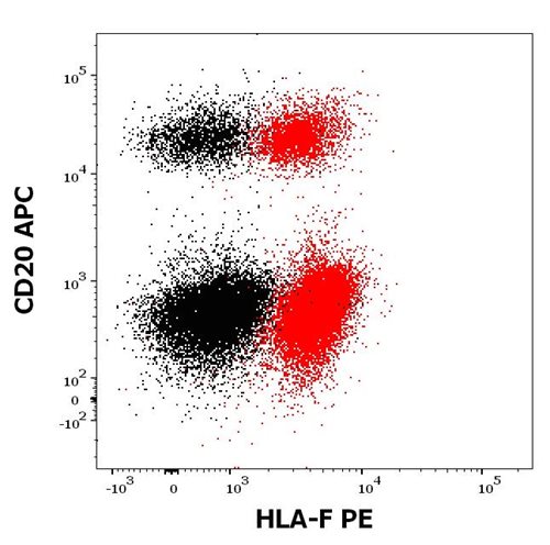 Anti-HLA-F PE