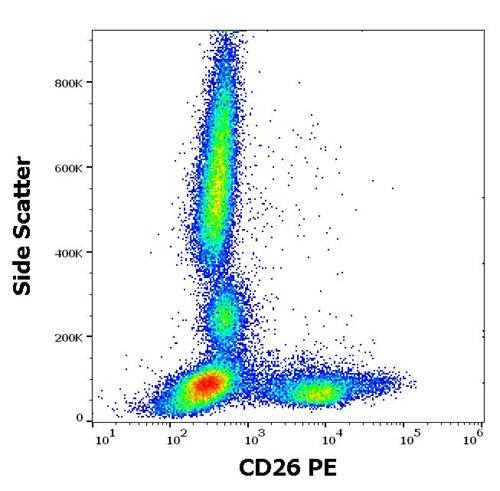 Anti-Hu CD26 PE