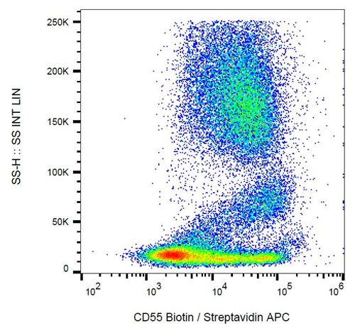 Anti-Hu CD55 Biotin