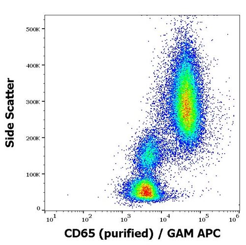 Anti-Hu CD65 Purified