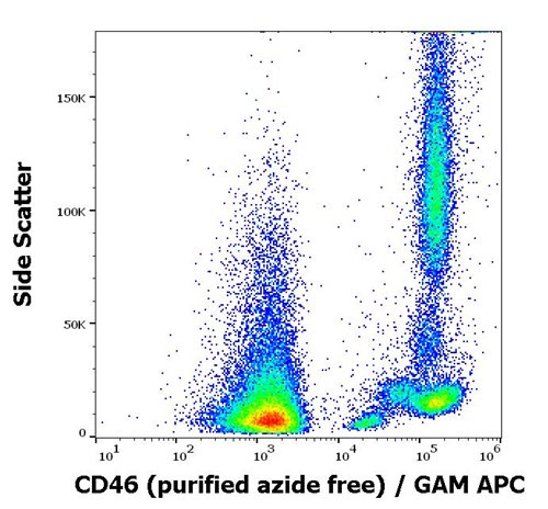 Anti-Hu CD46 Purified Azide Free