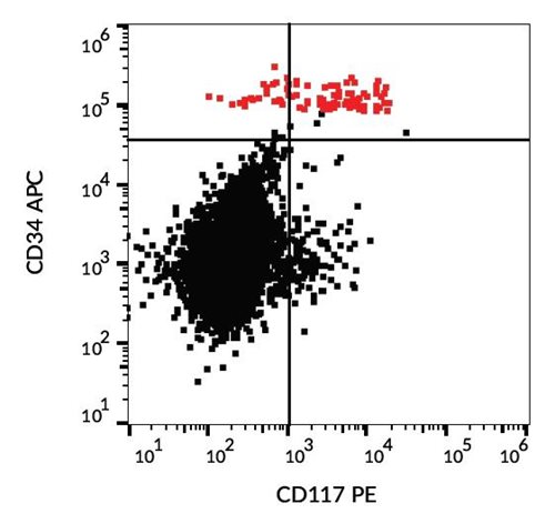 Anti-Hu CD117 PE