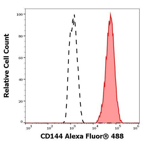 Anti-Hu CD144 Alexa Fluor<sup>®</sup> 488