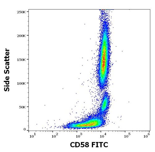 Anti-Hu CD58 FITC