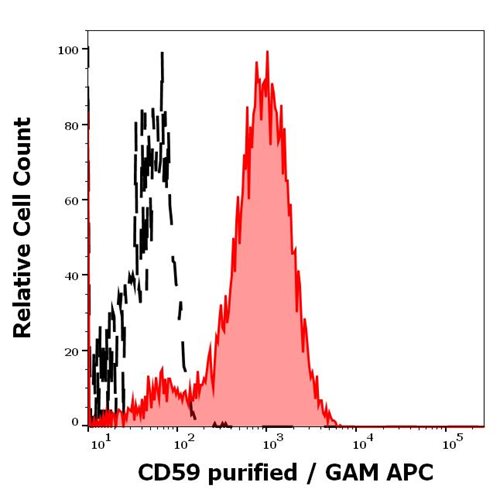 Anti-Hu CD59 Purified Azide Free