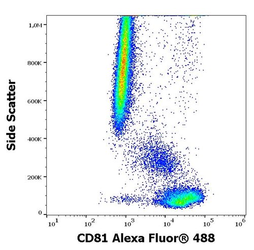 Anti-Hu CD81 Alexa Fluor<sup>®</sup> 488