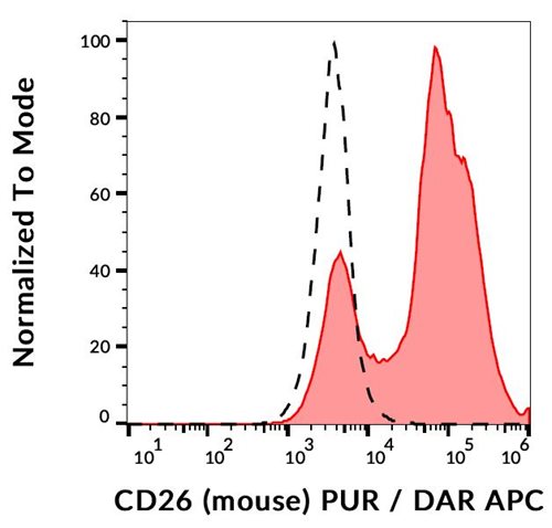 Anti-Ms CD26 Purified