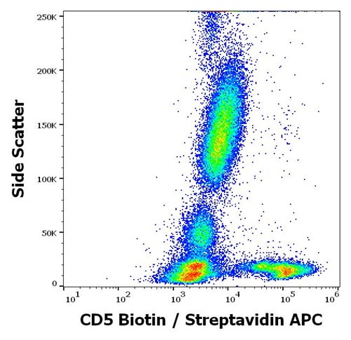 Anti-Hu CD5 Biotin
