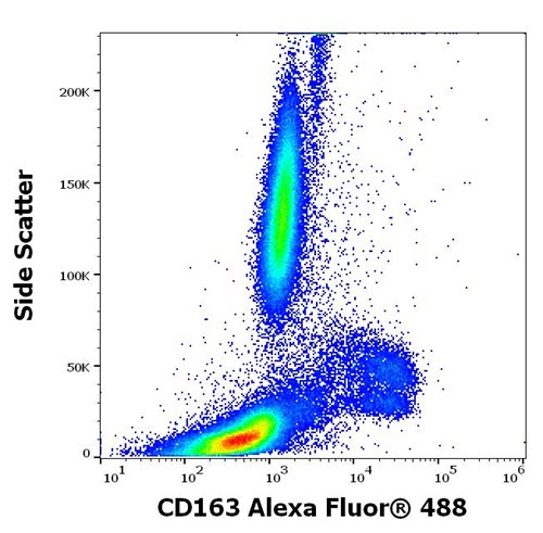 Anti-Hu CD163 Alexa Fluor<sup>®</sup> 488
