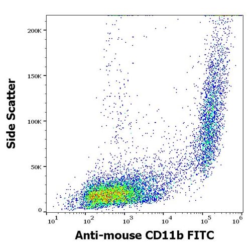 Anti-Ms CD11b FITC