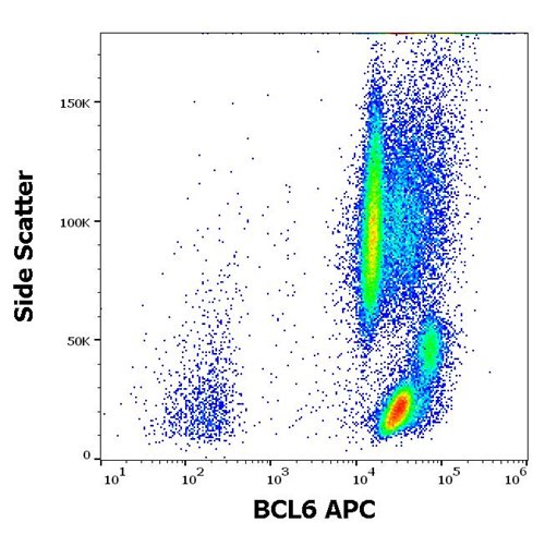 Anti-BCL6 APC