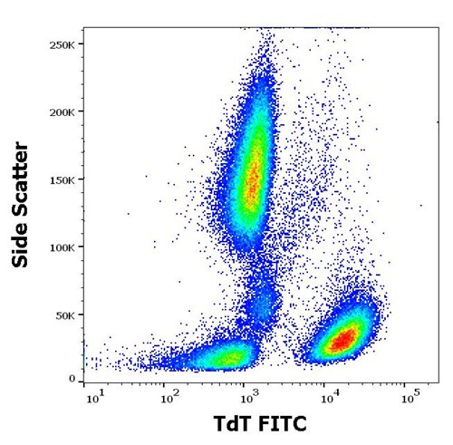 Anti-Hu TdT FITC