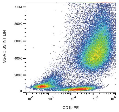 Anti-Hu CD1b PE