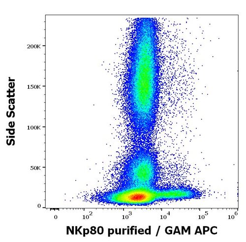 Anti-Hu NKp80 Purified