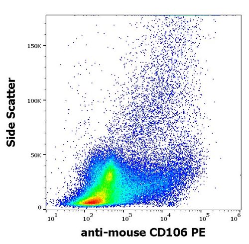 Anti-Ms CD106 PE