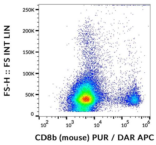 Anti-Ms CD8b Purified