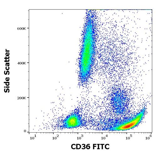 Anti-Hu CD36 FITC