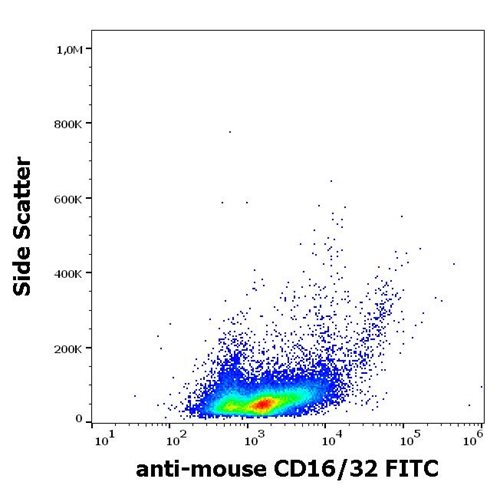 Anti-Ms CD16/CD32 FITC