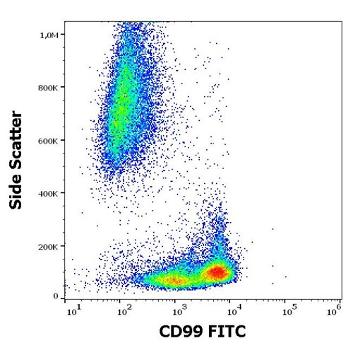 Anti-Hu CD99 FITC
