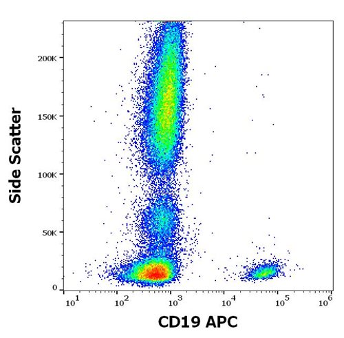 Anti-Hu CD19 APC