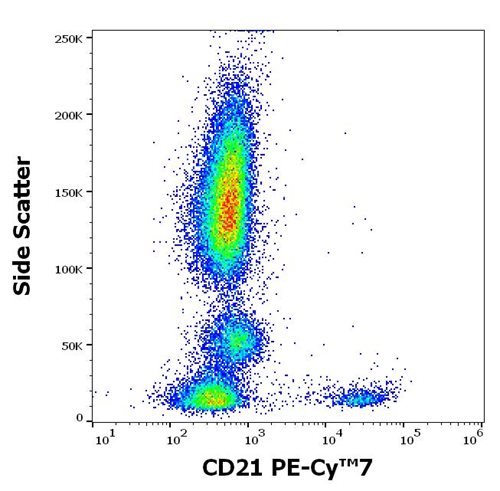 Anti-Hu CD21 PE-Cy™7