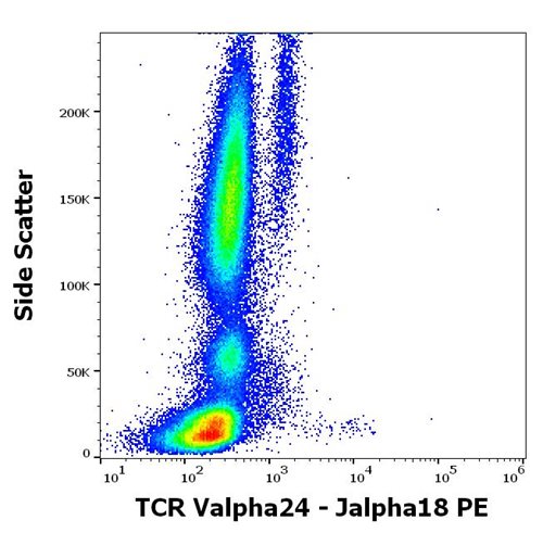 Anti-Hu TCR Valpha24-Jalpha18 PE