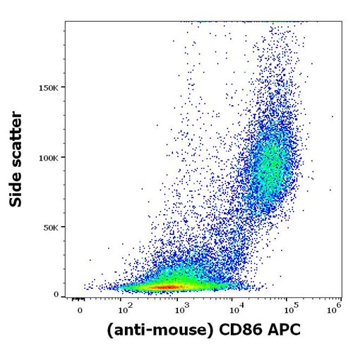 Anti-Ms CD86 APC