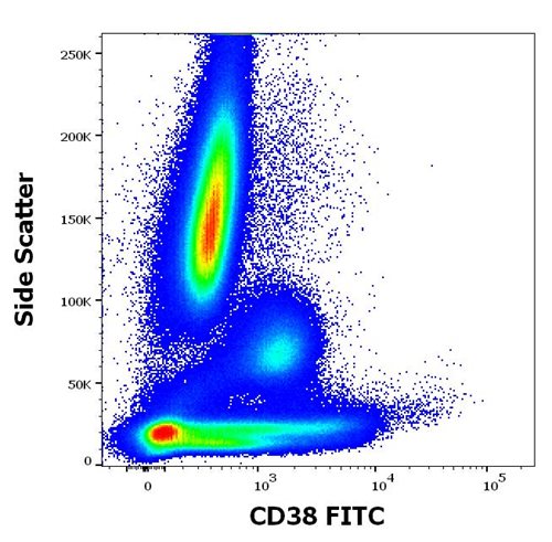 Anti-Hu CD38 FITC