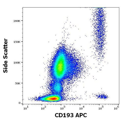 Anti-Hu CD193 APC